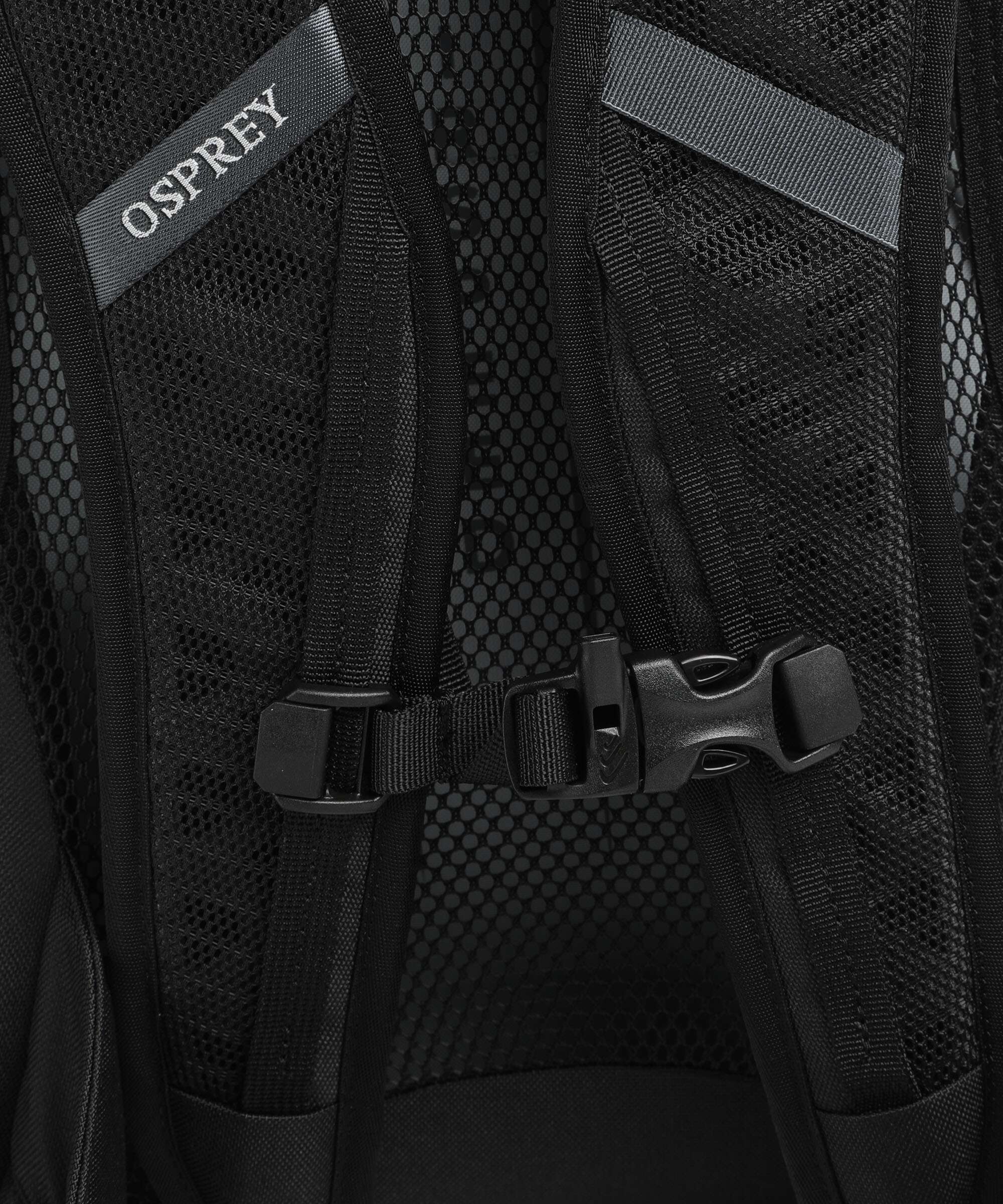 Osprey Hikelite 30 Plecak turystyczny silver lining - Image 3